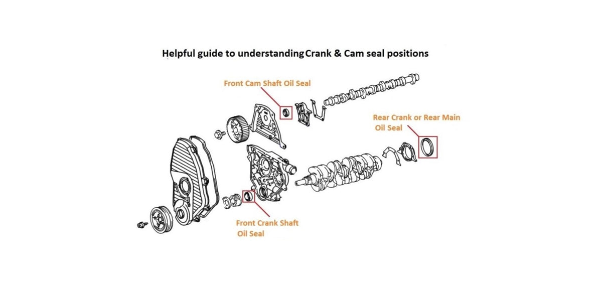 1988-1997 Diesel 2.8L 3L OEM Toyota Rear Main Seal