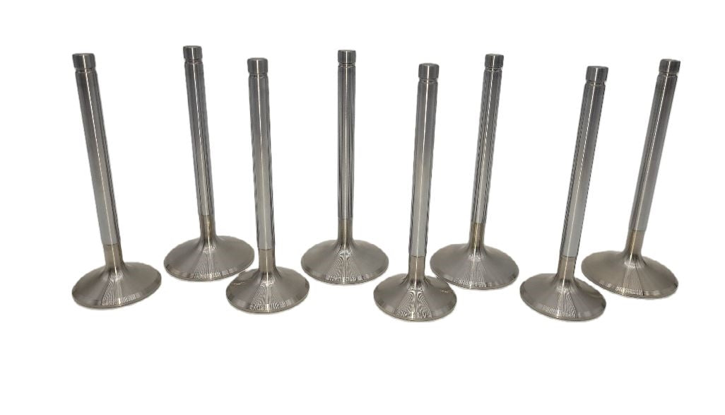 Toyota Diesel Custom +1mm Stainless Steel Valve Set