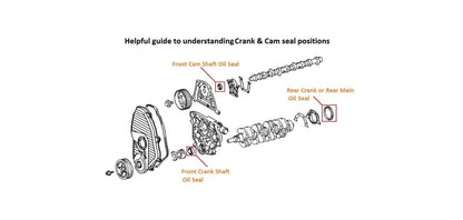 1988-1997 Diesel 2.8L 3L OEM Toyota Rear Main Seal